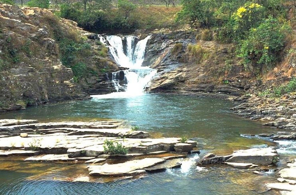 Pantanal Mato Grosso do Sul Brazil www.brazilfilms a film production services
