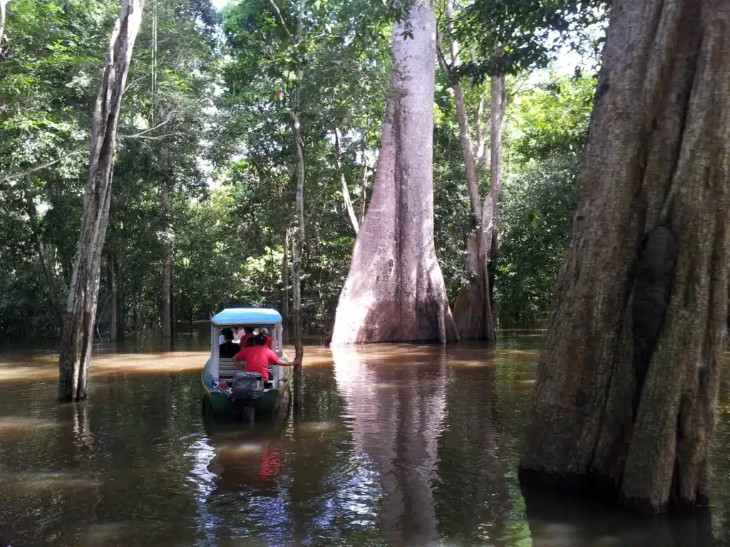 amazon rio negro river banco de areia by www.brazilfilms.com a film video and stilll production services company