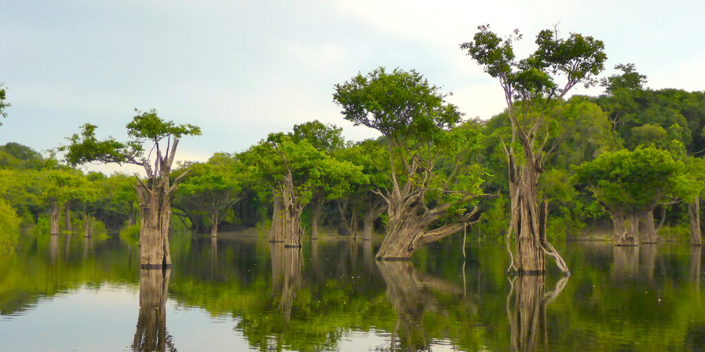 Filming at the Amazon Brazil